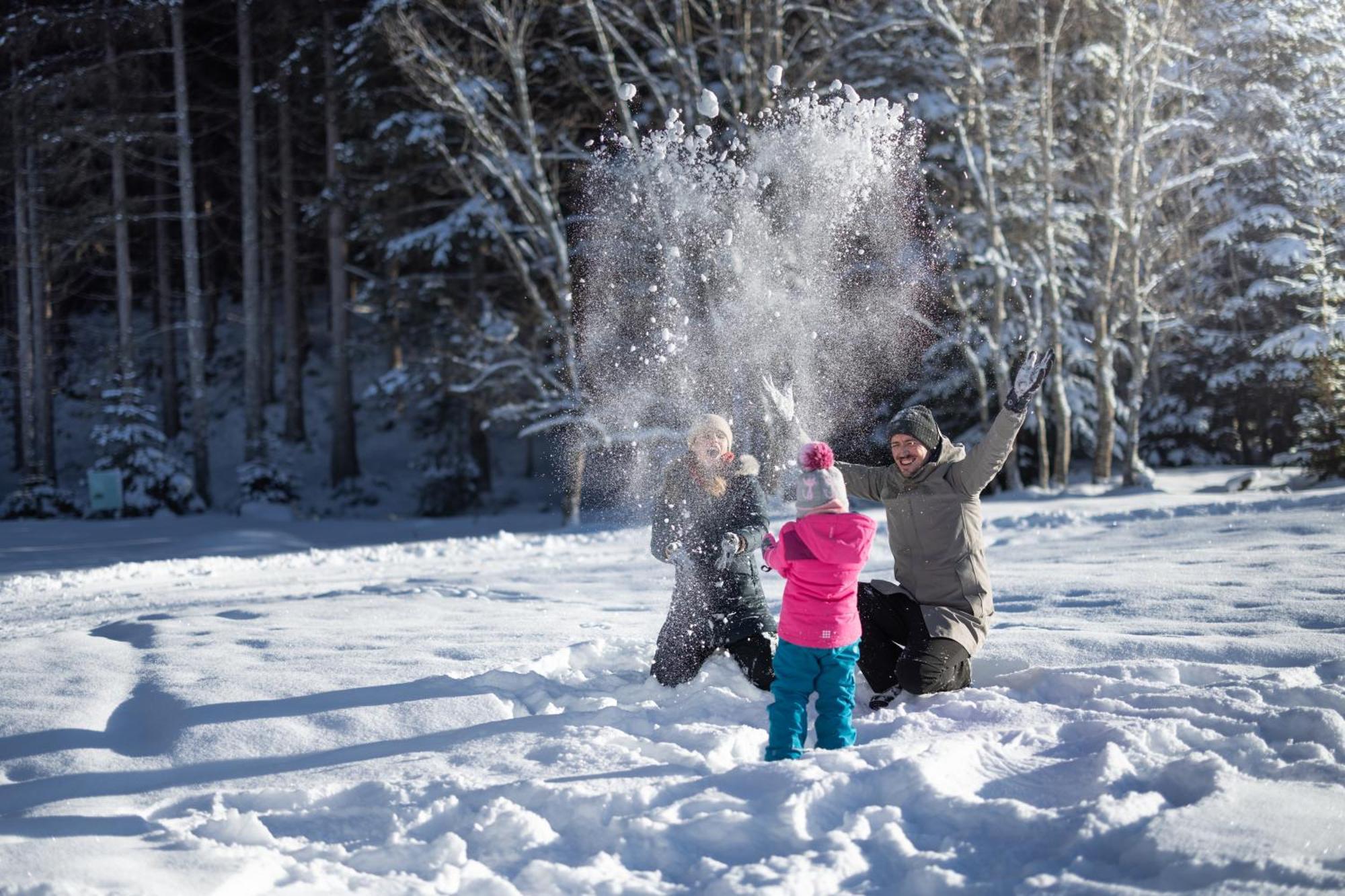 Feriengut Ottacherhof - Active Family Holiday In Central Hollersbach Hollersbach im Pinzgau Eksteriør bilde